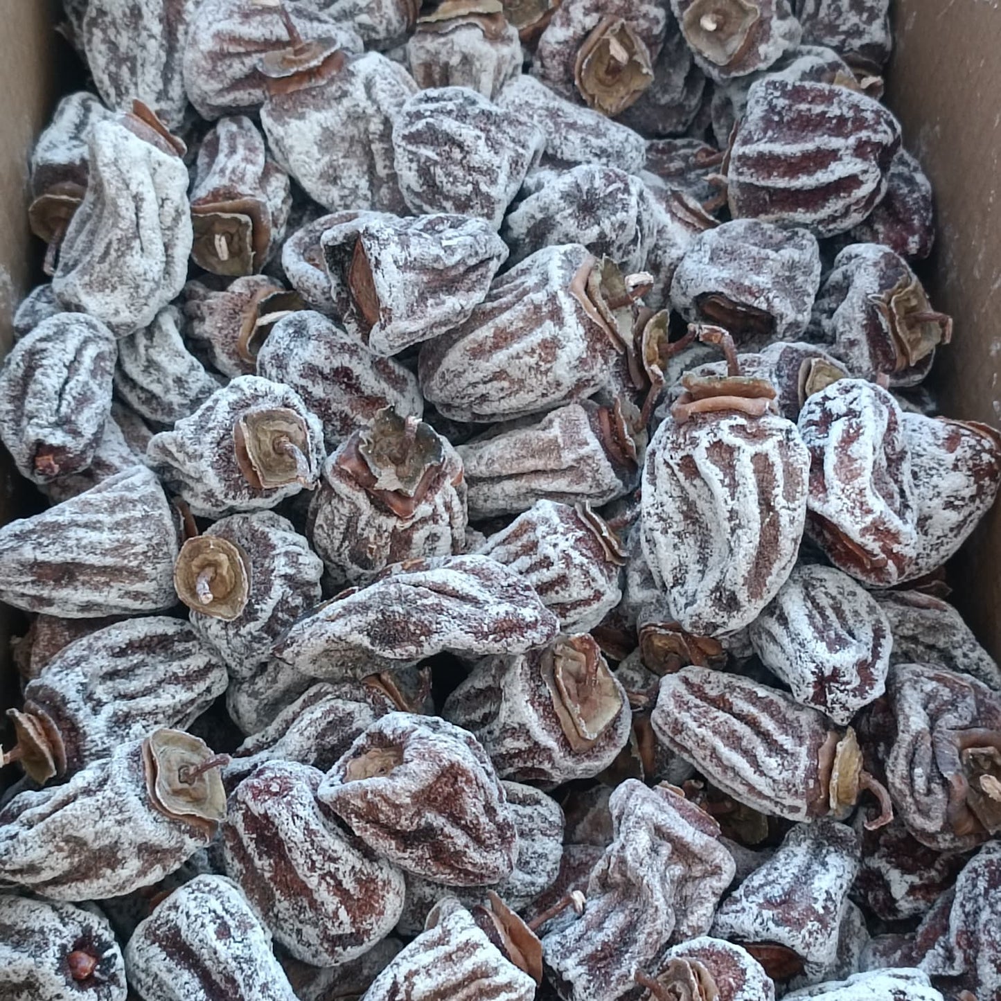 Cennet Hurması 10 KG