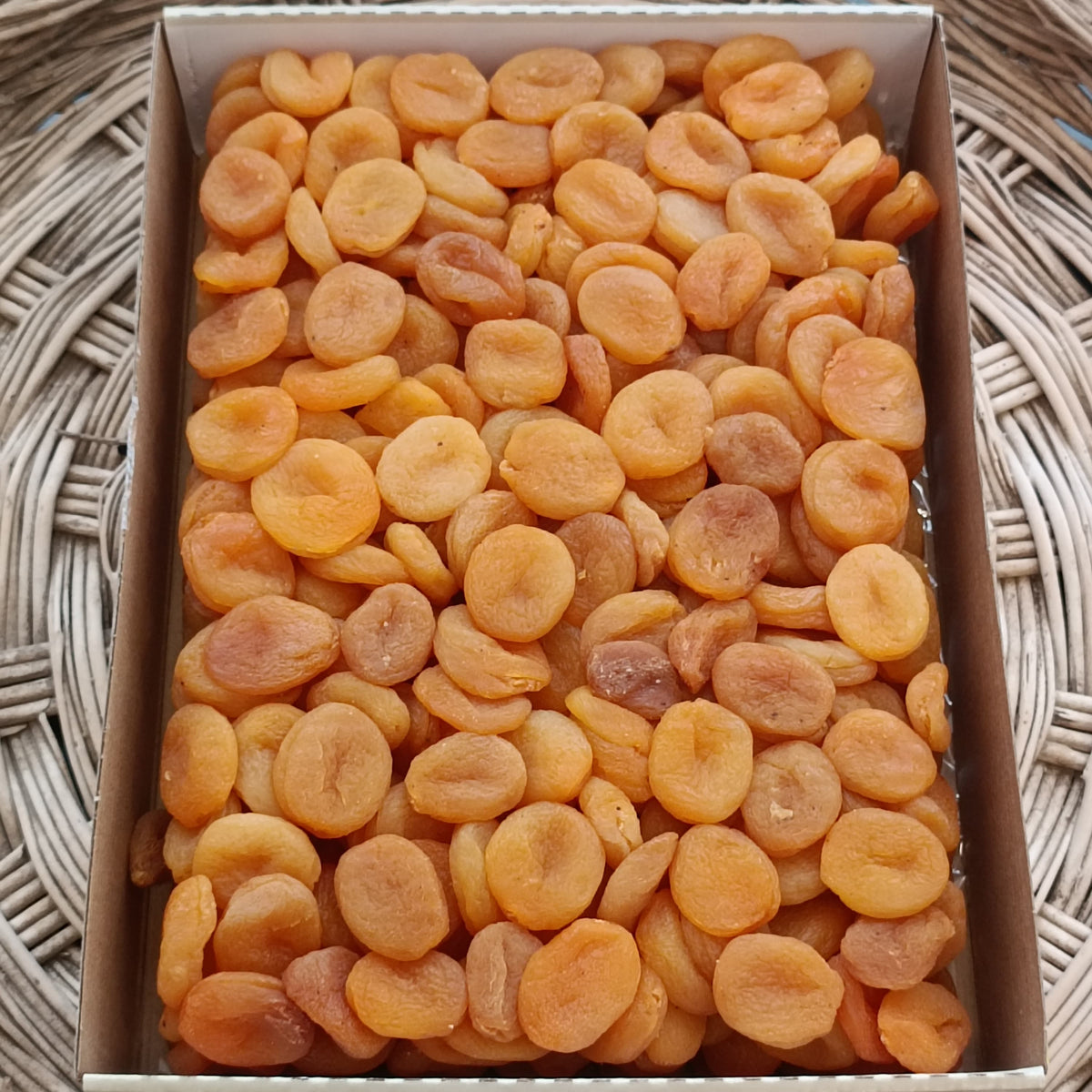 SARI KAYISI 1 NO 5 KG