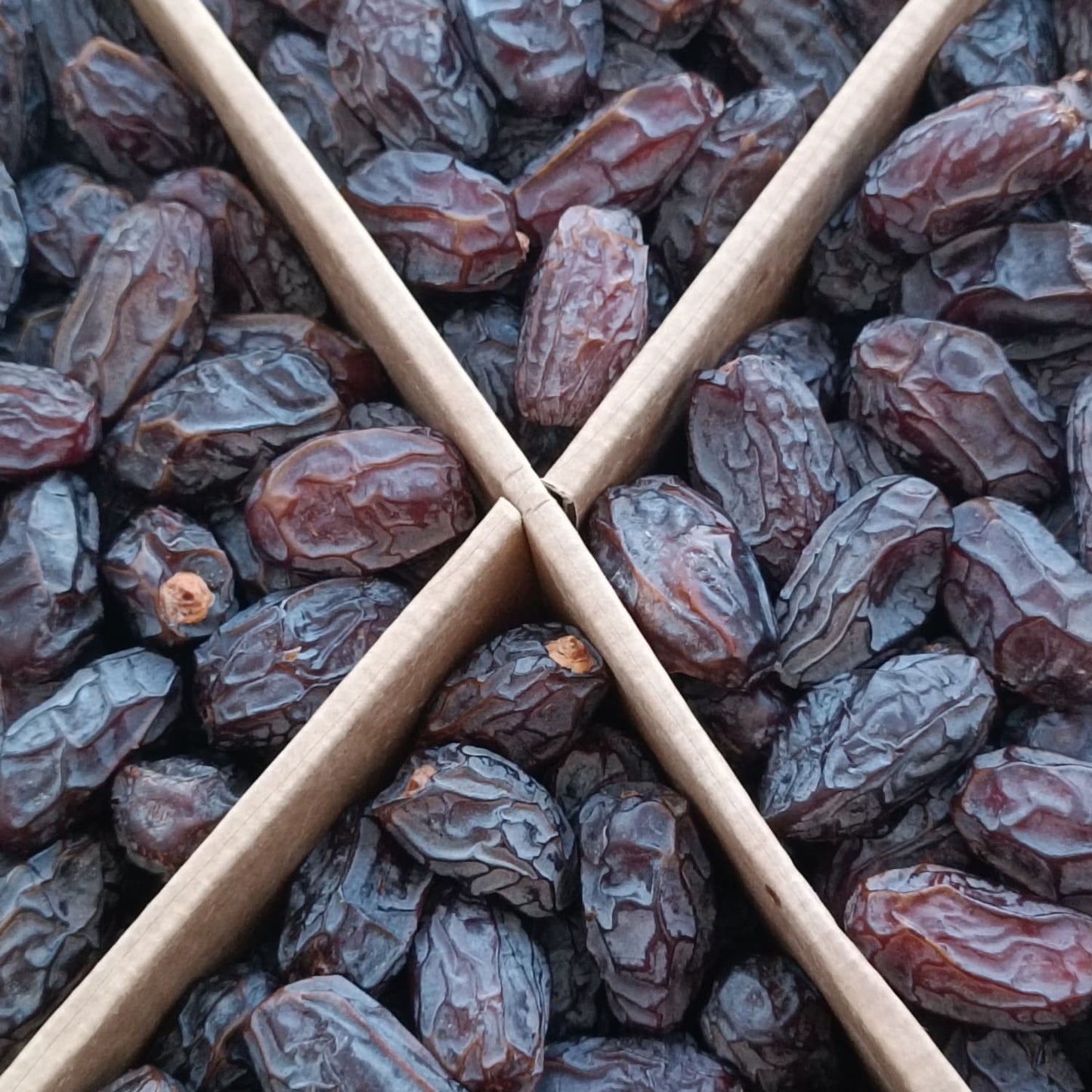 Kudüs Medjoul Hurması Large (Menşei Ürdün) 5 KG