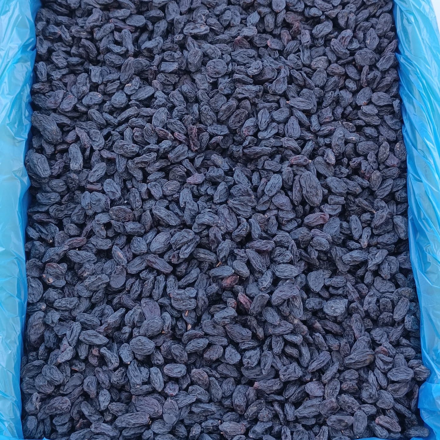 Çekirdeksiz Özbek Üzümü 10 KG
