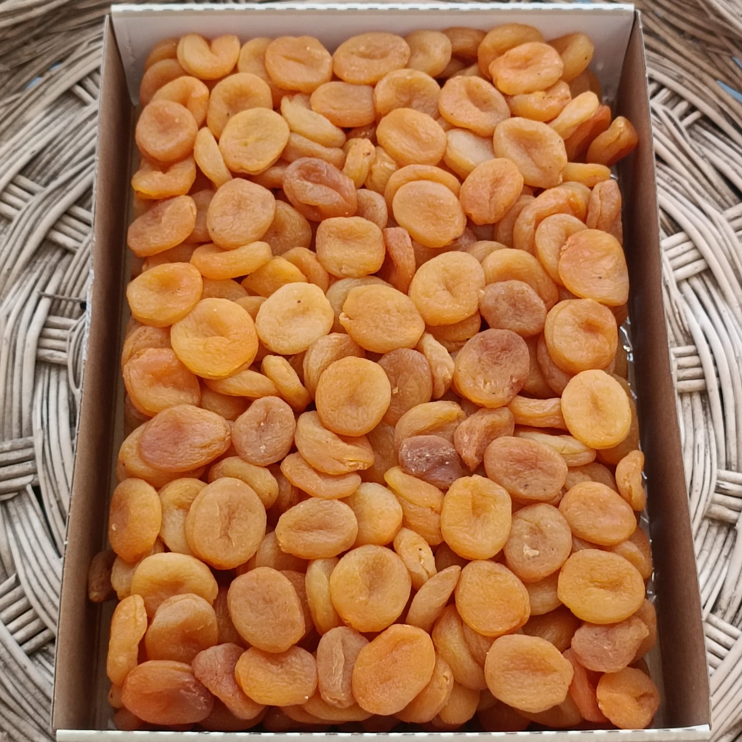 SARI KAYISI 1 NO 5 KG